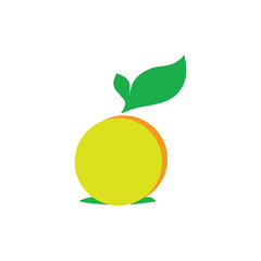 WebVector yellow and orange fresh fruit isolated on white background