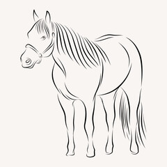 young lady riding a horse line art illustration