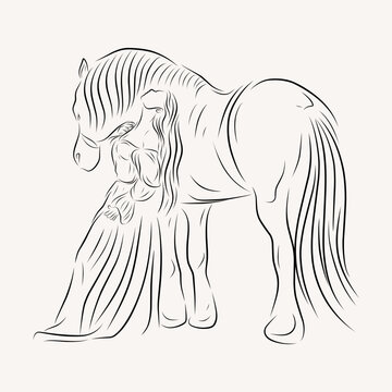 recommend clip art: young lady riding a horse line art illustration