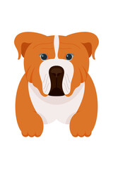 Cartoon puppy dogs breeds pets cute characters. Flat design of cute dogs and puppies vector illustration.