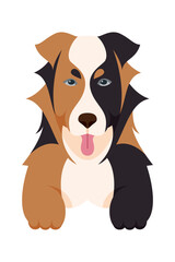 Cartoon puppy dogs breeds pets cute characters. Flat design of cute dogs and puppies vector illustration.