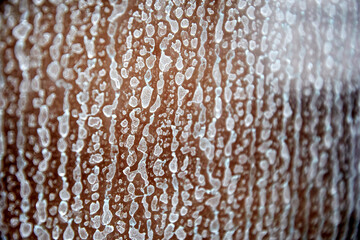 Strong limescale on the glass door in the shower room. Cleaning house and housekeeping