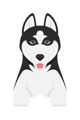 Cartoon puppy dogs breeds pets cute characters. Flat design of cute dogs and puppies vector illustration.