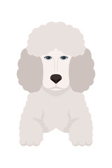 Cartoon puppy dogs breeds pets cute characters. Flat design of cute dogs and puppies vector illustration.