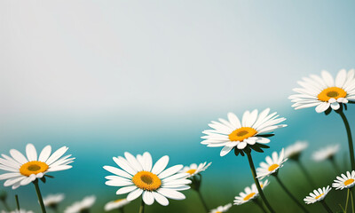 Beautiful daisies on a blue background, copy space. Generative AI.