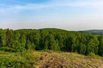 Fototapeta na wymiar View of the summer forest from the top of the hill. Russia