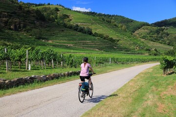 Danube Cycle Path (Donauradweg) in Wachau region. Long distance bicycle route in Austria. Woman...