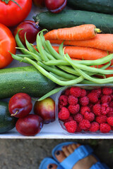 Crate of fresh fruit and vegetable, picked from the garden, and feet in blue sandals. Summer in the garden concept. Top view, unrecognizable person.