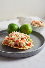 Traditional mexican and peruvian fish ceviche