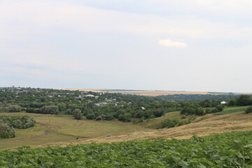 Naklejka premium A field of green plants and a village