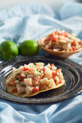Traditional mexican and peruvian fish ceviche