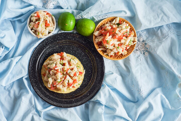 Peruvian and mexican toast fish ceviche. Top View.