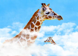 A giraffe pokes her head through the clouds to find blue sky. This is a 3-d illustration and watercolor painting about height and how is the weather up there jokes.