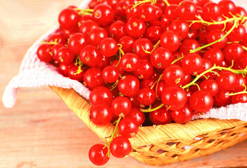 Fresh redcurrant close up