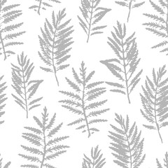 Seamless natural pattern with gray leaf silhouettes of a grassy plant on a white background. Gentle design for fabric, wallpaper, packaging, wrapping.
