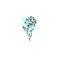 flower logo illustration