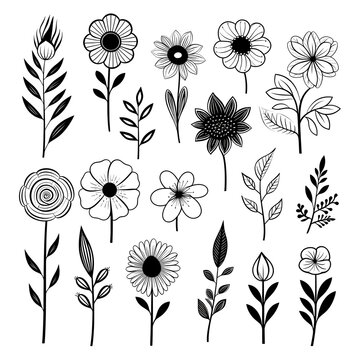black and white cartoon flower collection