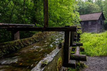 Fototapeta premium mingus mill