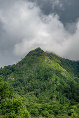 Fototapeta premium great smoky mountains national park