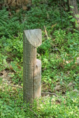 one gray wooden signal pole among the green vegetation in the forest