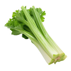 fresh green celery isolated on transparent background cutout