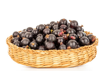 Several berries of sweet black currant in a straw plate, macro, isolated on white background.