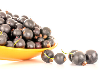 Several berries of sweet black currant with yellow ceramic saucer, macro, isolated on white background.