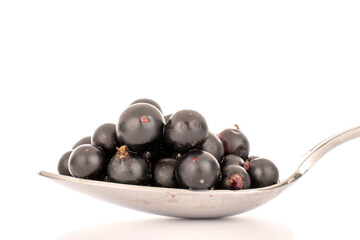 Several berries of sweet black currant with a metal spoon, macro, isolated on white background.