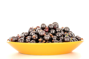 Several berries of sweet black currant with yellow ceramic saucer, macro, isolated on white background.