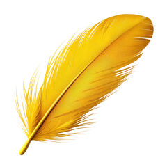 feather isolated on transparent background cutout