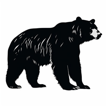Black bear silhouette illustration isolated on white 
