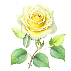 Yellow Rose Flower Vector