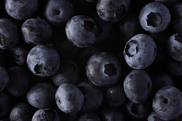 Macro blueberry background. Freshly picked berries close-up.
