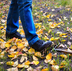 Male foot steps on a lying rake