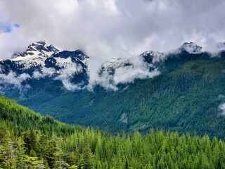 Fototapeta premium green mountain landscape