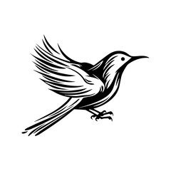 Bird Vector