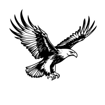 recommend clip art: Bird Vector