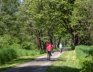 Fototapeta premium Bicyclist Rides along trail