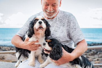 Blurred old senior man sitting close to the beach with his cavalier king charles dogs. Best friend...