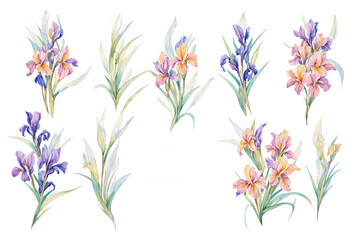 Fototapeta na wymiar Watercolor drawing with irises and leaves. Mother's Day card. Floral pattern for wallpaper or fabric with iris flowers. Templates for design, botanical illustration in watercolor style. Generative AI