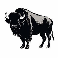 buffalo illustration isolated on white - obrazy, fototapety, plakaty