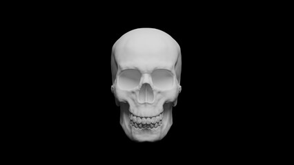 Men's skull 3d illustration on black background.  Realistic skull