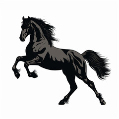 Obraz na płótnie Canvas black horse rearing up illustration isolated on white