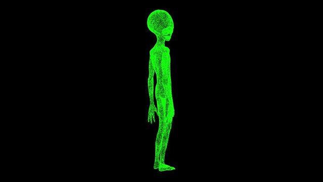 3D Green Man rotates on black bg. Alien Extra Terrestrial life-form. UFO concept. For title, text, presentation. Object made of shimmering particles. 3d animation 60 FPS
