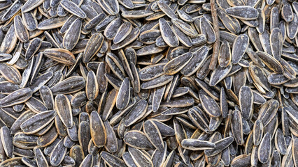 Striped black sunflower seeds, texture, background.