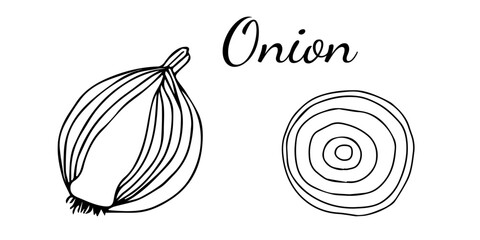 Hand drawn onion icon and lettering. Vegetables vector icon in old ink style for brochures, banners, restaurant menu and market.