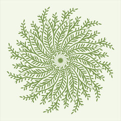 Naklejka na ściany i meble Isolated simple floral mandala. Vector ornamental illustration.