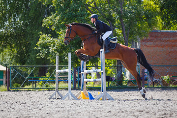 Young man riding horseback jumping over the hurdle on showjumping course