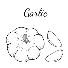 Hand drawn garlic icon and inscription. Vegetables vector icon in old ink style for brochures, banners, restaurant menu and market.