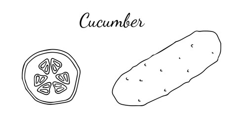 Hand drawn cucumber icon and lettering. Vegetables vector icon in old ink style for brochures, banners, restaurant menu and market.